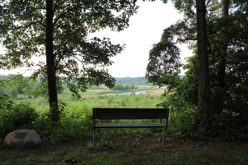 View of wetlands