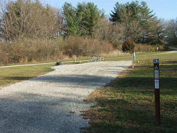 Roberts Creek East Site # 42