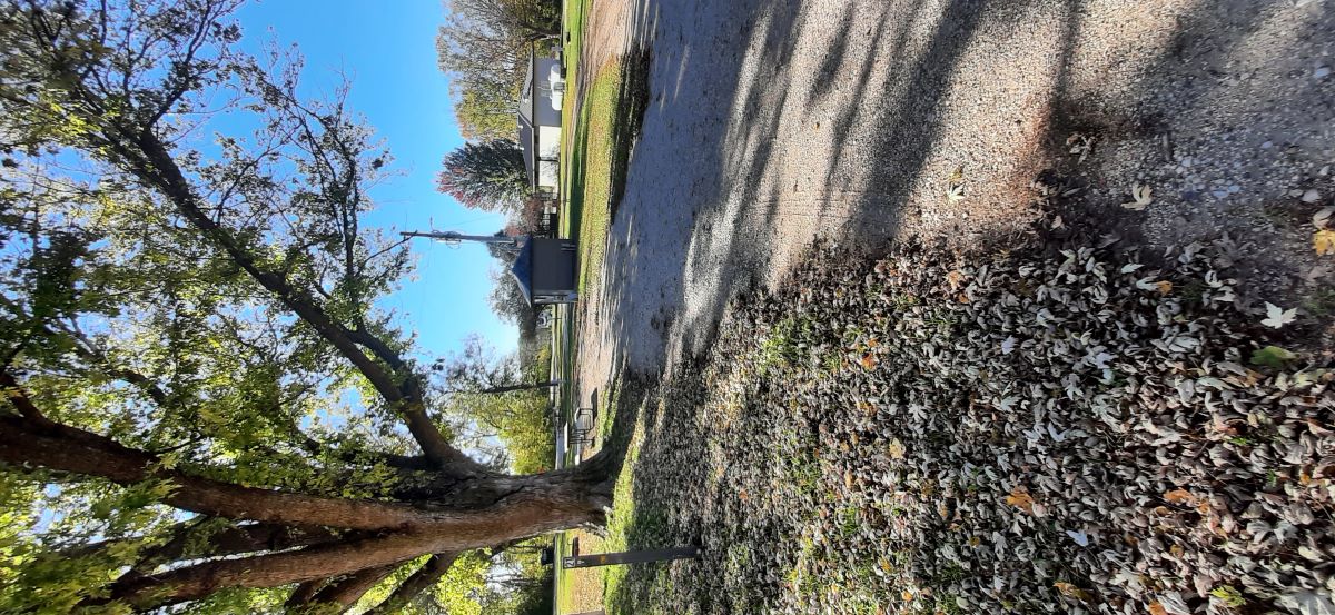 Electric Site 021 - Don Williams