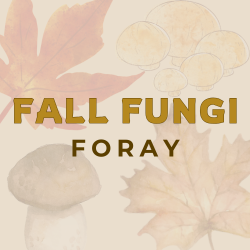 Fall Fungi Foray
