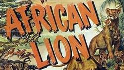 Nature Documentary "African Lion"