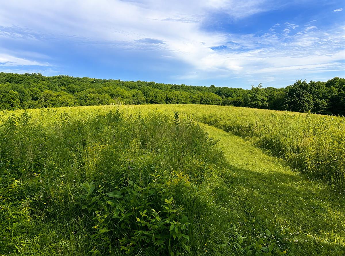 French Preserve Prairie