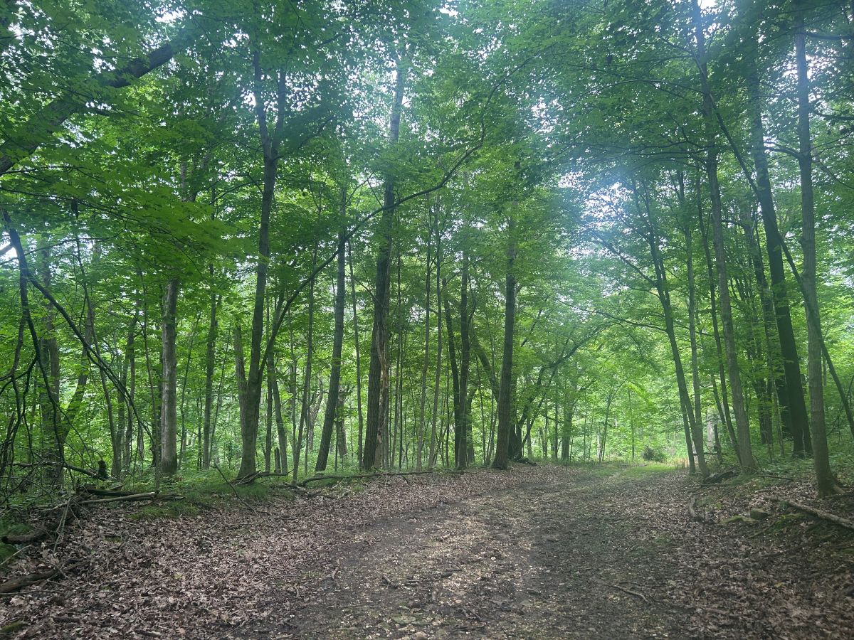 Twin Bridges Wildlife Area