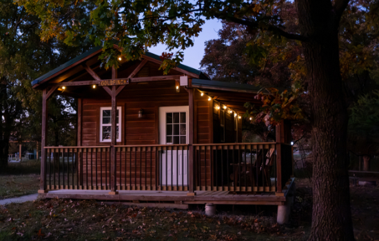 Goldfinch Cabin at night 