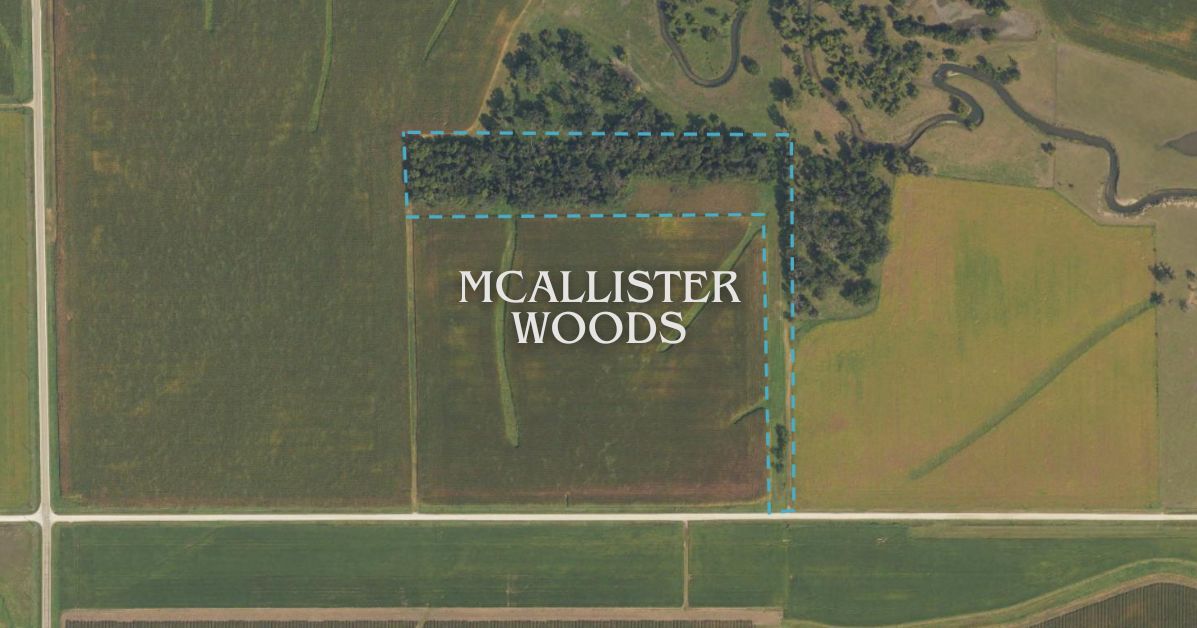 McAllister Woods