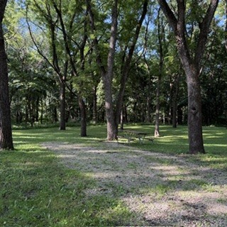 Heery Woods Site 13 - Non-Reservable