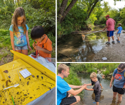 Water Quality Stream Monitoring