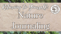Returning to Yourself: Nature Journaling
