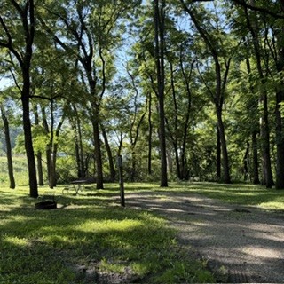 Heery Woods Site 14 - Non-Reservable