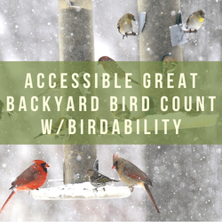 Accessible Great Backyard Bird Count w/Birdability