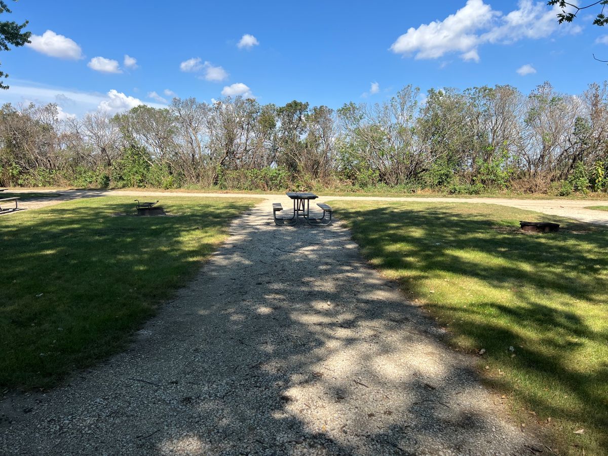 Dog Creek Campsite #04