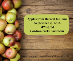 Apples From Harvest to Home