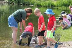 Waterbugs Expedition