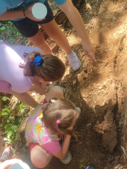 Lime Creek Littles - Exciting Insects!