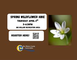 Spring Wildflower Hike