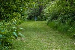 Disc Golf
