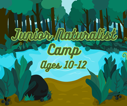 Junior Naturalist - Ages 10-12