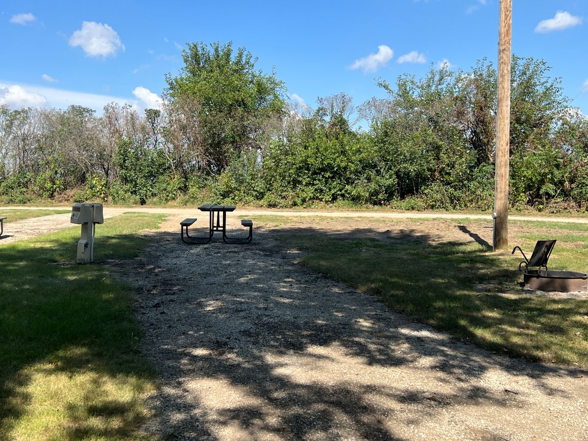 Dog Creek Campsite #01