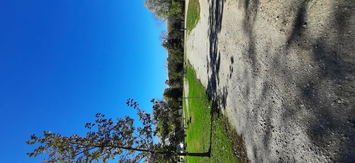 Electric Site 017- Don Williams