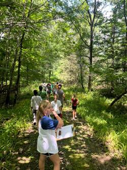 Brown Bag Bunch - Wildlife and Tree Interactions