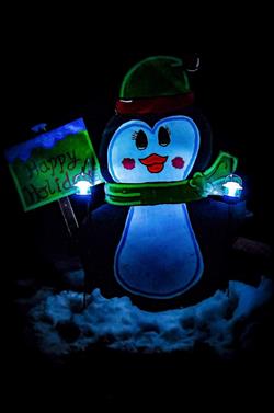 Holiday Lights in the Park