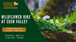 Wildflower Walk