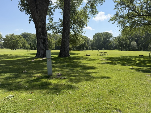 Beaver Meadows Site 13 - Non-Reservable