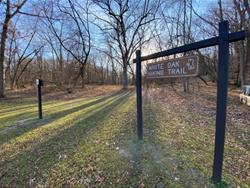 White Oak Trail Hike - "Just a Walk in the Park" Series