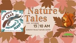 Nature Tales: Squirrels