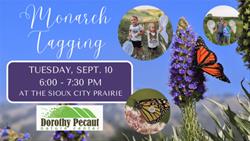 Monarch Tagging at Sioux City Prairie 1