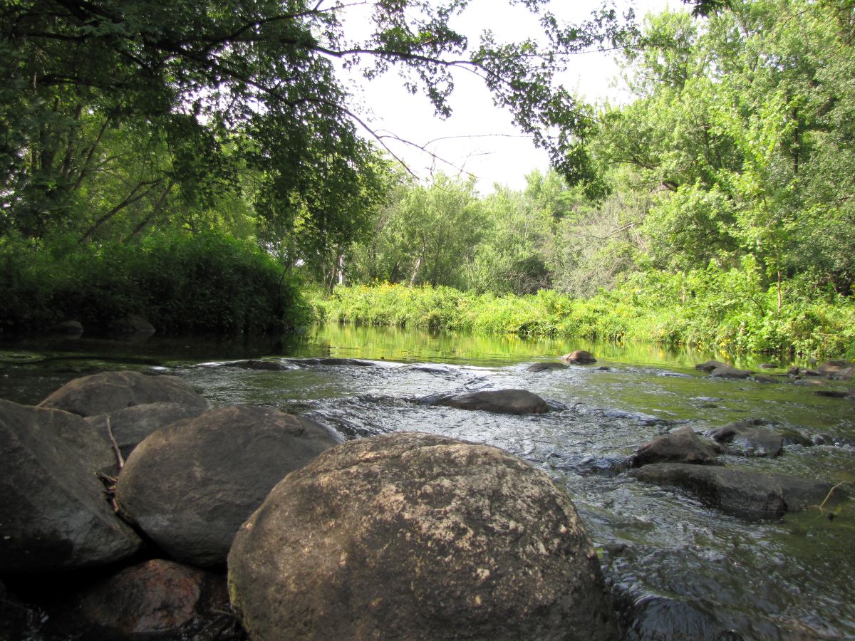 Saude rock level upstream