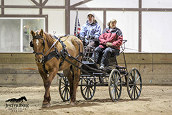 JPEC Novice Driving Clinic