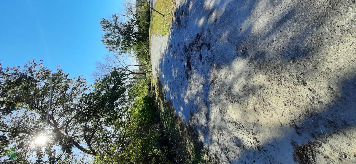 Electric Site 000 - Don Williams