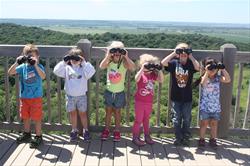 KinderNature Camp: The Bird Word - Morning Session