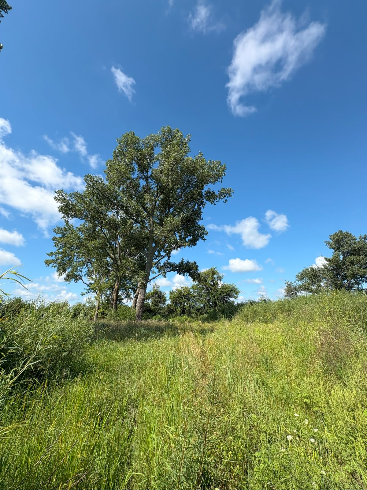 Dillon Wildlife Area