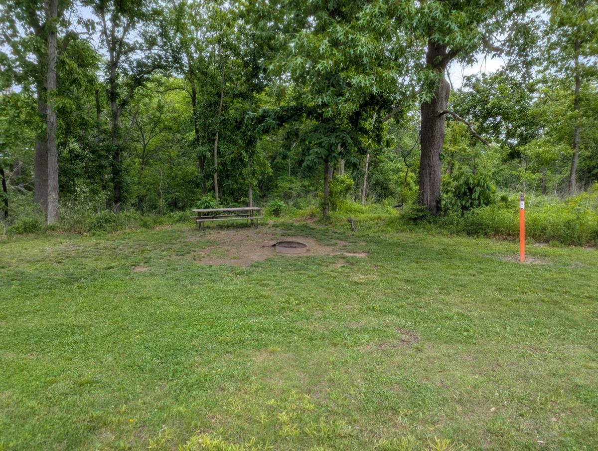 Yellow Banks Tent Site 3