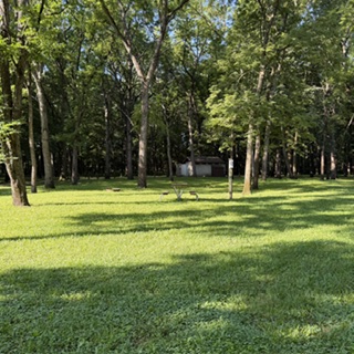 Heery Woods Site 18 - Non-Reservable