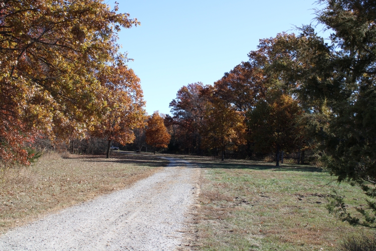 Turkey Run Wildlife Area