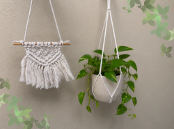 Macramé Plant Hanger and Wall Art Workshop