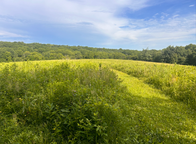French Preserve Prairie
