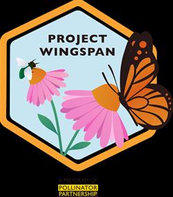 Prairie Seed Harvest with Project Wingspan