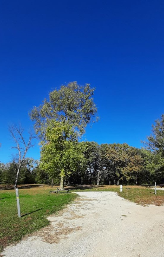 Electric Site 013 - Don Williams