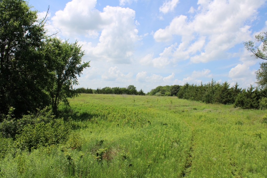 Prairie on North side of Gantz