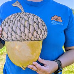 Golden Acorn Hunt