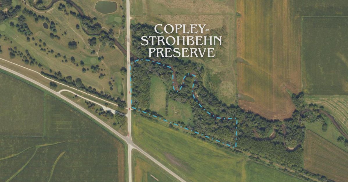 Copley-Strohbehn Preserve