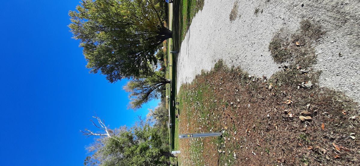 Electric Site 016 - Don Williams