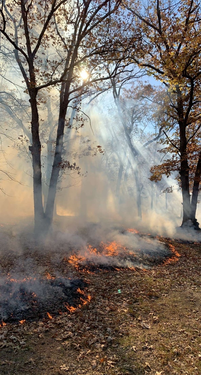 Squirrel Hollow Wildlife Area