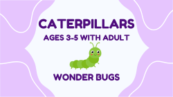 Summer Camp - Caterpillars (Age 3-5 w/Adult) July 14-15