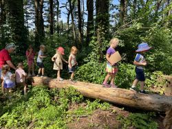 Wee Nature Tales - Thursdays