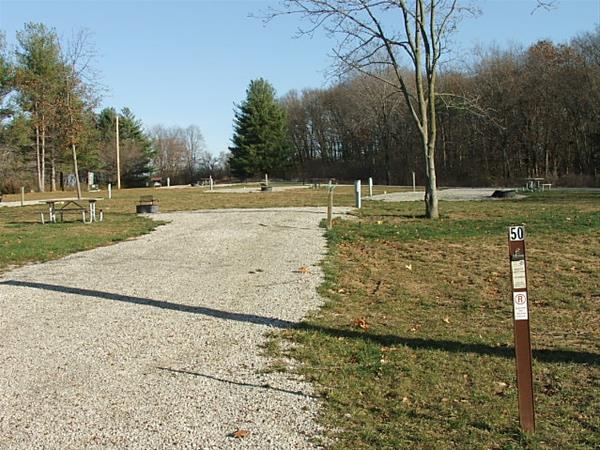 Roberts Creek East Site # 50